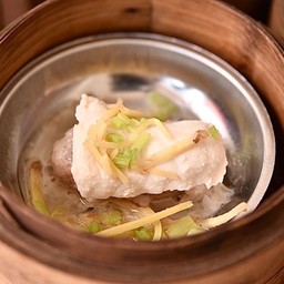 ปลากระพงแต้มหน้าหมู