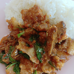 ้ข้าวแพนง