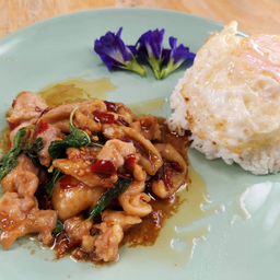 กะเพราไก่