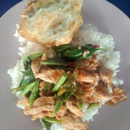 ผัดพริกแกงหมู