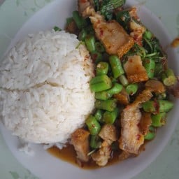 กระเพราหมูกรอบราดข้าว