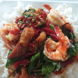 ข้าวราดคะน้าทะเล