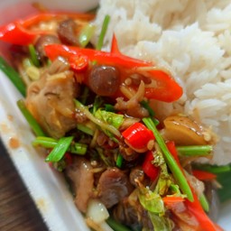 ผัดขิงไก่