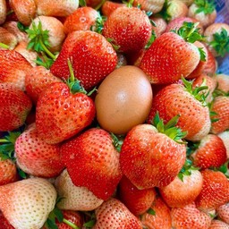 สตรอว์เบอร์รี่พันธุ์หวาน พันธุ์80