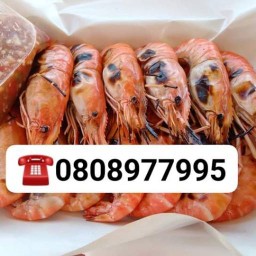 ตามสั่ง -