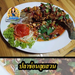 ปลาช่อนลุยสวนสมุนไพร