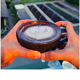 hot moccha to table