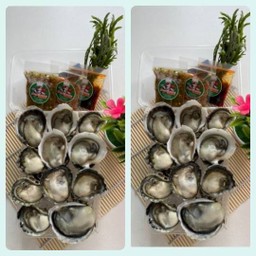 หอยนางรมสดติดฝา 10-12 ตัว ซื้อ 1 แถม 1(พร้อมชุดเครื่องเคียง)