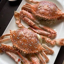 MENU_2021491wa_1677514444