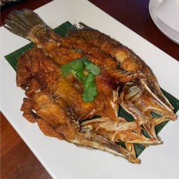 MENU_2021491wa_1677514538