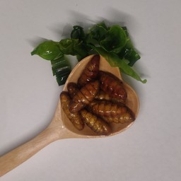 ปลานึ่งแจ่ว ผักนึ่ง