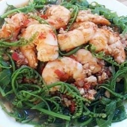 ผัดผักกูดกุ้ง