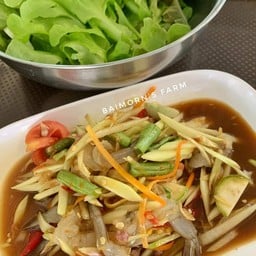 Baimorn's farm ผักสลัดบ้านแพ้ว