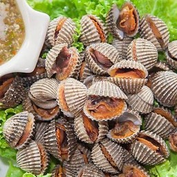 หอยแคลงลวก