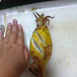 กระเพราสามก้าว (39)