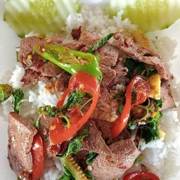 กระเพราตับหมู