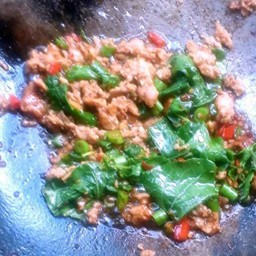 กระเพราหมูสับราดข้าว