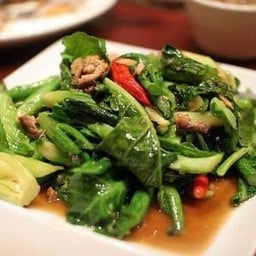 ตามสั่งโคตรกะเพรา    แจ้ง5 แจ้งวัฒนะซอย5