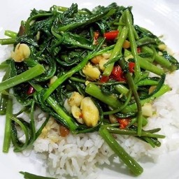 ข้าวราดผักบุ้ง+ไข่ดาว