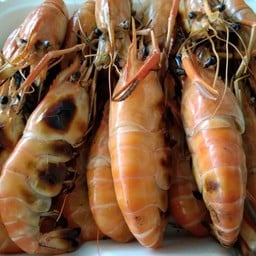 กุ้งเผาไซส์S (1โล)