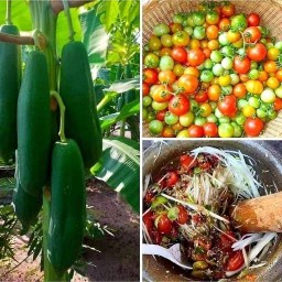 ส้มตำ เขย่า