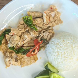 ข้าว กะเพราไก้สับ ไก่ชิ้น