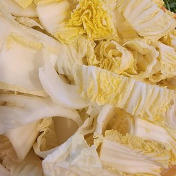 ผักกาดขาว