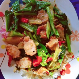 ข้าวราดคะน้าหมูกรอบ