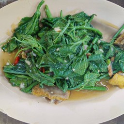 ยอดมะระหมูกรอบ