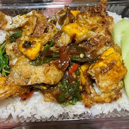 ข้าวผัดกะเพราไข่ดาว