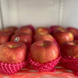 แอปเปิ้ล ฟูจิ ลูกละ