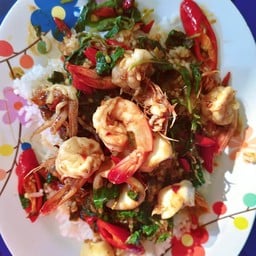 ข้าวราดกระเพาทะเล