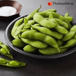 ถั่วแระญีปุ่น F1