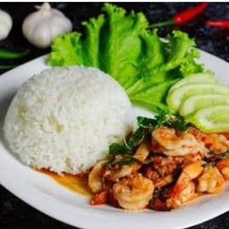 ร้านผัดกระเพราง่ายๆกินแล้วอร่อย
