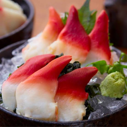 หอยปีกนกซาชิมิ