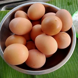 ไข่ต้ม
