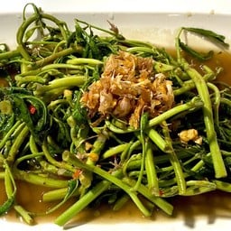 กระเฉดไฟแดง