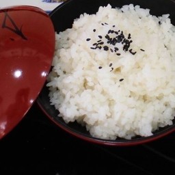 ข้าวญี่ปุ่น (เปล่า)