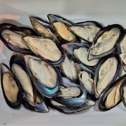 หอยซีลี 200  กรัม