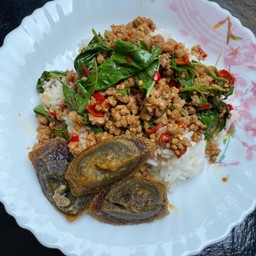 กะเพราหมูสับ+ไข่เยี่ยวม้า