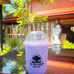 ชานมเผือก