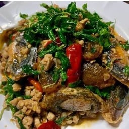 แดกสะเด็ดกระเพราแสบดาก byน้องไบรโอ พานทอง