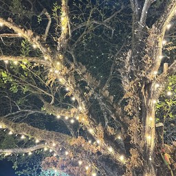 ลูกชิ้นปลา ปาระเบิดเจ๊มิ้นท์