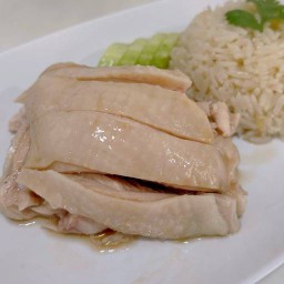 ข้าวมันไก่ พลีโน่ เพชรเกษม สาย4