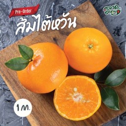 ส้มแมนดาริน ส้มไต้หวัน หวานฉ่ำ 500 กรัม