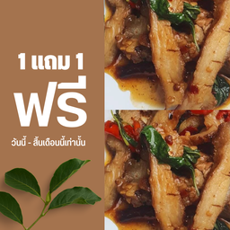 ข้าวกะเพราคอหมูย่าง ไข่ต้ม 1 แถม 1 เท่านั้น