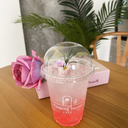 กุหลาบโซดา