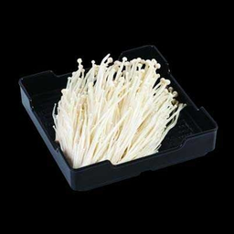 เห็ดเข็มทอง