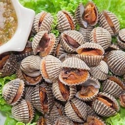 หอยแครงลวกไซร์กลาง