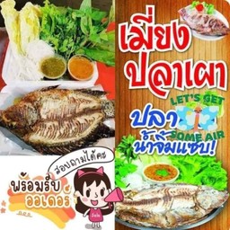 เพชรเมี่ยงปลาเผา เพชรเมี่ยงปลาเผาสาขา 1